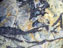 Metamorphic Metamorphic