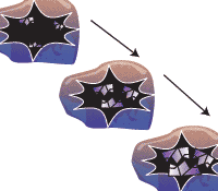 Mineral Formation Mineral Formation