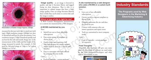 Industry Standards- The Programs Used by Web Designer Industry Standards- The Programs Used by Web Designer