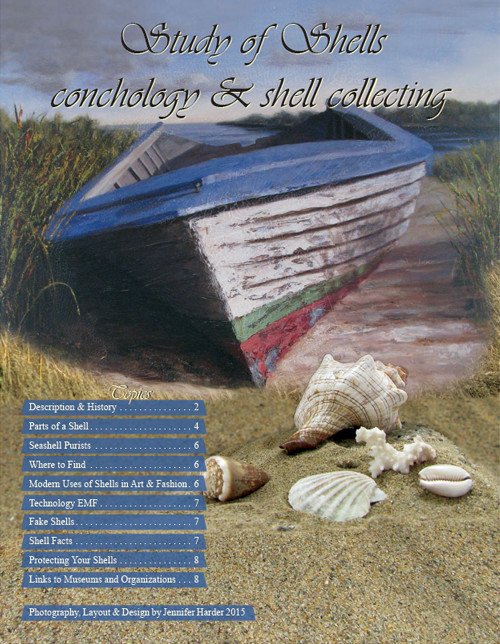 Shell Brochure Shell Brochure