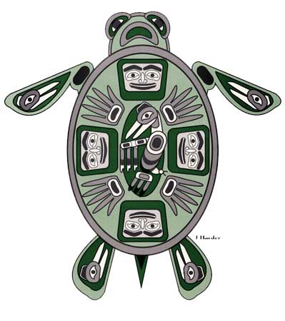 Turtle Island Design Turtle Island Design