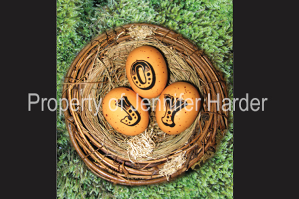 Second Card Image