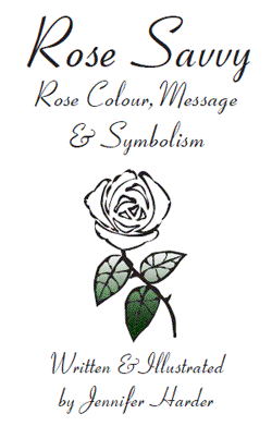 Rose Savvy Book Cover Rose Savvy Book Cover
