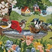 Birds image02