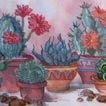 Cactus image05