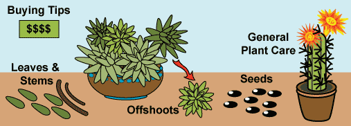 propagation and buying tips image map